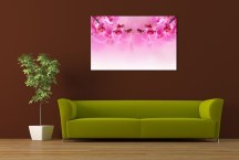 Obraz Orchidea ružová zs267