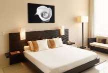 ciernobiely obraz - Kvet zs268