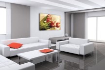 Tulipány Obrazy zs269