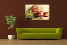 Tulipány Obrazy zs269