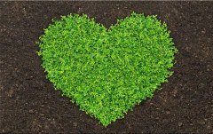 Obraz na stenu ZS - bez pomeru strán