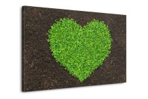 Zelené obrazy - Srdce zs270