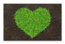 Zelené obrazy - Srdce zs270