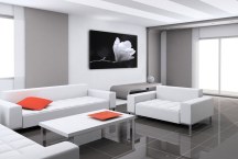 Čierno-biele Obrazy Kvet Magnólie zs271