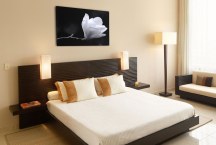 Čierno-biele Obrazy Kvet Magnólie zs271