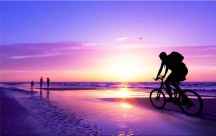 Športový obraz zs276