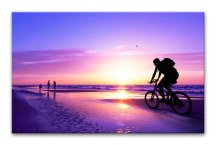 Športový obraz zs276