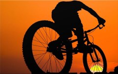 Obraz na stenu ZS - bez pomeru strán