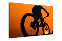Obraz Cyklista zs277
