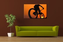 Obraz Cyklista zs277