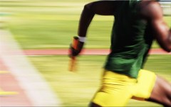 Obraz na stenu ZS - bez pomeru strán