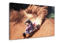 Obraz - Na štvorkolke zs280