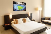 Obraz Štadión zs284