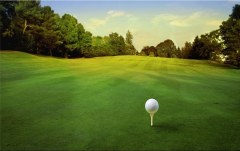 Obraz na stenu ZS - bez pomeru strán