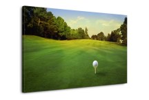 Obraz Golfové ihrisko zs287