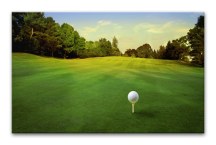 Obraz Golfové ihrisko zs287