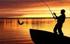 Obraz na stenu ZS - bez pomeru strán