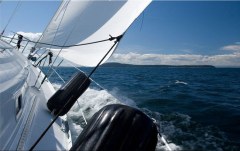 Obraz na stenu ZS - bez pomeru strán