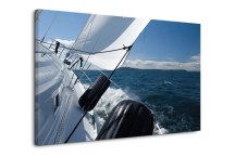 Športové Obrazy zs297