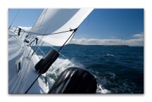 Športové Obrazy zs297