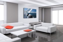 Športové Obrazy zs297