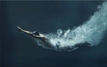 Obraz - Plavec zs298