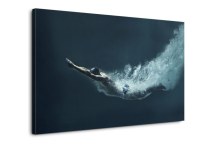 Obraz - Plavec zs298