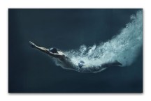 Obraz - Plavec zs298