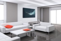 Obraz - Plavec zs298