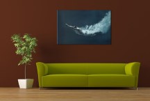 Obraz - Plavec zs298