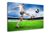 Obraz - Futbal zs302