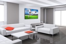 Obraz - Futbal zs302