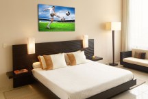Obraz - Futbal zs302
