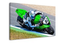 Obraz Pretekár zs304