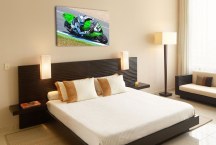 Obraz Pretekár zs304