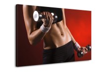 Obraz Posilňovanie zs311