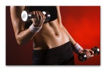 Obraz Posilňovanie zs311