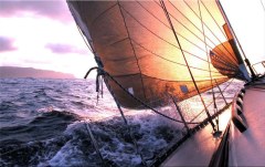 Obraz na stenu ZS - bez pomeru strán