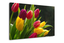 Obraz Tulipány zs3131