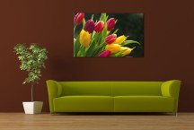 Obraz Tulipány zs3131