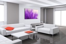 Obraz Kvet fialový zs3134