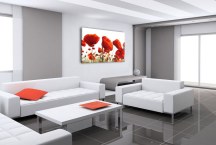 Obraz Červené Maky zs3137