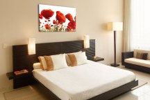 Obraz Červené Maky zs3137