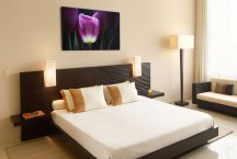 Obraz Tulipán zs3139