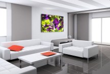 Obrazy Poľné Kvety zs3140