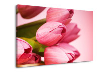 Obraz s Tulipánmi zs3143