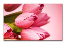 Obraz s Tulipánmi zs3143