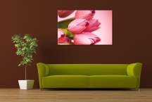 Obraz s Tulipánmi zs3143