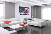 Obraz Kvet na kameni zs3144