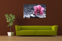 Obraz Kvet na kameni zs3144